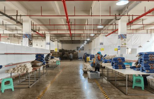 綏陽苗族藥枕借力互聯網，線上銷售火爆